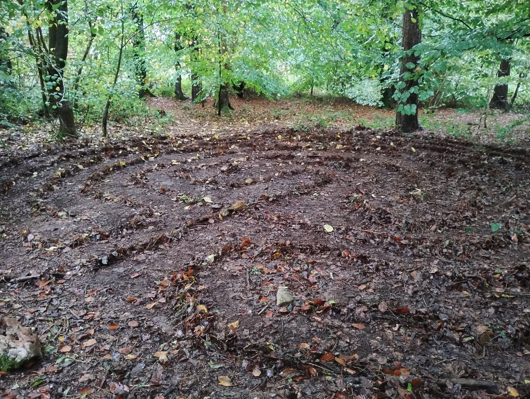 The turf labyrinth in the woods